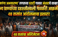 'पैनगंगा अभयारण्य' लगतच्या दराटी गावात अंधाराचे साम्राज्य; वन्य प्राण्यांच्या दहशतीखाली गावकरी आक्रमक, ४८ तासांत आंदोलनाचा इशारा!